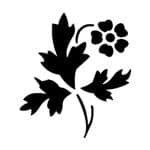 D SERIES STENCIL D1091 15X20