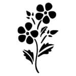 O SERIES STENCIL O58 10X15