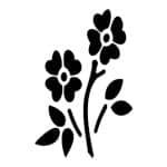 O SERIES STENCIL O95 10X15