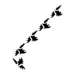 K SERIES STENCIL K06 6X20