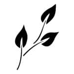 M SERIES STENCIL M02 7X10