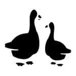 M SERIES  STENCIL M24 7X10