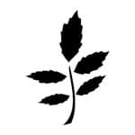 M SERIES STENCIL M68 7X10