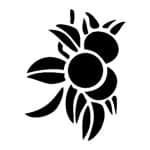 M SERIES  STENCIL M87 7X10