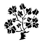 BN SERIES STENCIL BN69 25X36