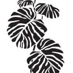 BN SERIES STENCIL BN151 25X36