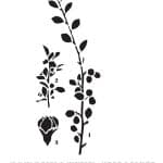 BN SERIES STENCIL BN153 25X36