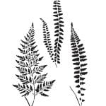 BN SERİSİ STENCIL BN154 25X36