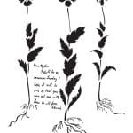 BN SERIES STENCIL BN156 25X36