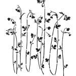 BN SERIES STENCIL BN160 25X36