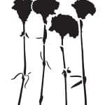 BN SERİSİ STENCIL BN163 25X36