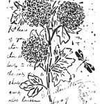 BN SERIES STENCIL BN166 25X36