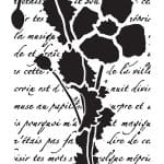 BN SERIES  STENCIL BN167 25X36