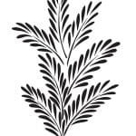 BN SERIES STENCIL BN172 25X36