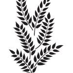 BN SERİSİ STENCIL BN176 25X36