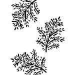 A4 SERİSİ STENCIL AS404 21X29