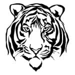 A4 SERİSİ STENCIL AS454 21X29