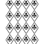 A4 SERİSİ STENCIL AS517 21X29