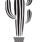 A4 SERİSİ STENCIL AS598 21X29