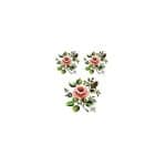 GÜLSÜN ÜLKÜ EASY TRANSFER G-04 17X25