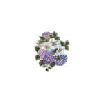 GÜLSÜN ÜLKÜ EASY TRANSFER G-163 17X25