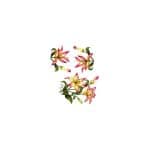 GÜLSÜN ÜLKÜ EASY TRANSFER G-62 25X35