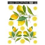 KUMAŞ TRANSFER FT-043 25X35