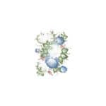 OLEG KULAKOV KOLAY TRANSFER T-25 17X25