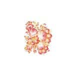 OLEG KULAKOV KOLAY TRANSFER T-27 17X25