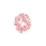 OLEG KULAKOV KOLAY TRANSFER T-29 17X25