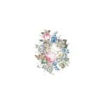 OLEG KULAKOV KOLAY TRANSFER T-33 17X25