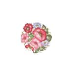 OLEG KULAKOV KOLAY TRANSFER T-39 17X25