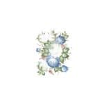 OLEG KULAKOV EASY TRANSFER T-223 25X35