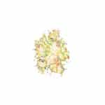 OLEG KULAKOV KOLAY TRANSFER T-224 25X35