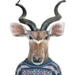 PORTRAITS OF ANIMAL FABRIC TRANSFER COLLECTION PAFT-01 21X30