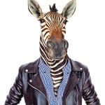 HAYVAN PORTRELERİ KUMAŞ TRANSFER KOLEKSİYONU PAFT-03 21X30