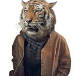 HAYVAN PORTRELERİ KUMAŞ TRANSFER KOLEKSİYONU PAFT-04 21X30