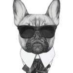 HAYVAN PORTRELERİ KUMAŞ TRANSFER KOLEKSİYONU PAFT-06 21X30