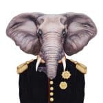 HAYVAN PORTRELERİ KUMAŞ TRANSFER KOLEKSİYONU PAFT-08 21X30