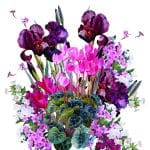 EVRENSEL TRANSFER KOLEKSİYONU UTC-001 25X35