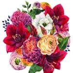 EVRENSEL TRANSFER KOLEKSİYONU UTC-004 25X35