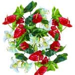 EVRENSEL TRANSFER KOLEKSİYONU UTC-005 25X35