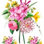 EVRENSEL TRANSFER KOLEKSİYONU UTC-006 25X35