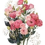 EVRENSEL TRANSFER KOLEKSİYONU UTC-007 25X35