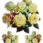 EVRENSEL TRANSFER KOLEKSİYONU UTC-008 25X35