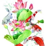 EVRENSEL TRANSFER KOLEKSİYONU UTC-011 25X35