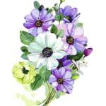 EVRENSEL TRANSFER KOLEKSİYONU UTC-014 25X35