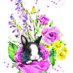 EVRENSEL TRANSFER KOLEKSİYONU UTC-016 25X35