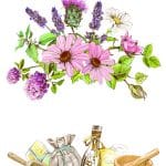 EVRENSEL TRANSFER KOLEKSİYONU UTC-017 25X35