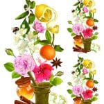 UNIVERSAL TRANSFER COLLECTION UTC-018 25X35